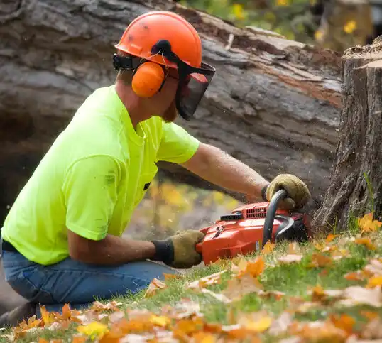 tree services Falls City